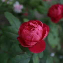 Гостиница Астра Нижний Новгород-52