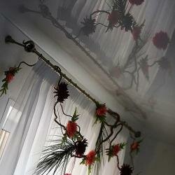 Гостиница Астра Нижний Новгород-67