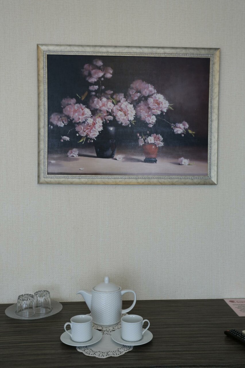 Гостиница Астра Нижний Новгород-79