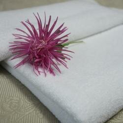 Гостиница Астра Нижний Новгород-55