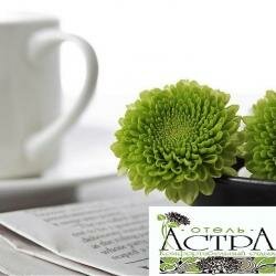 Гостиница Астра Нижний Новгород-54