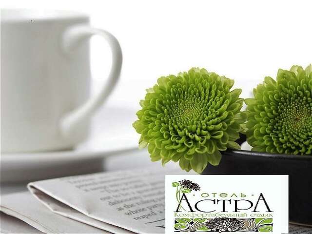 Гостиница Астра Нижний Новгород-121