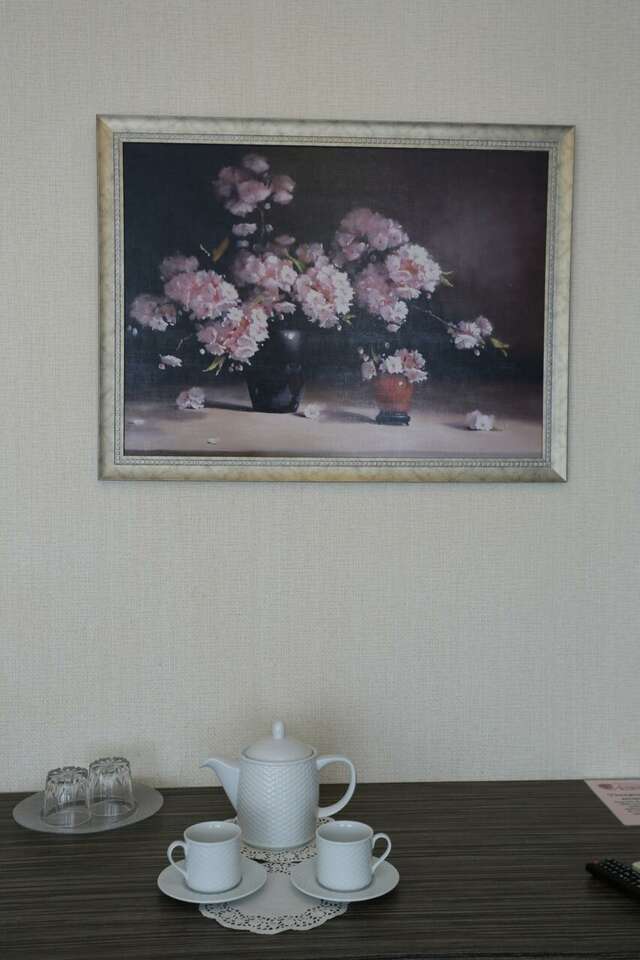 Гостиница Астра Нижний Новгород-78